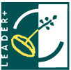 Leader