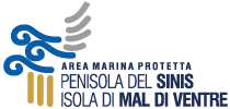 Area Marina Protetta Penisola del Sinis - Isola di Mal di Ventre