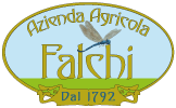 Riso Falchi